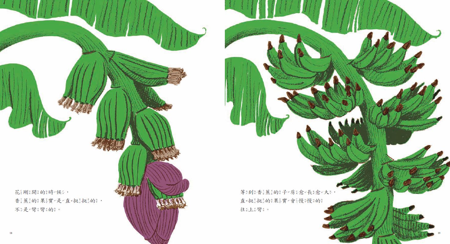 香蕉從哪裡來?(新版)